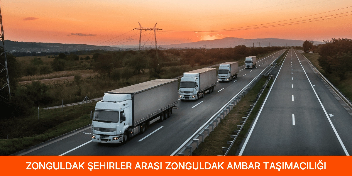 Şehirler Arası Zonguldak Ambar Taşımacılığı